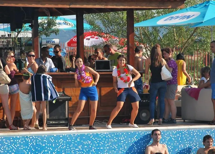 Harmony Hills Tomovi H41 רוגאצ'בו