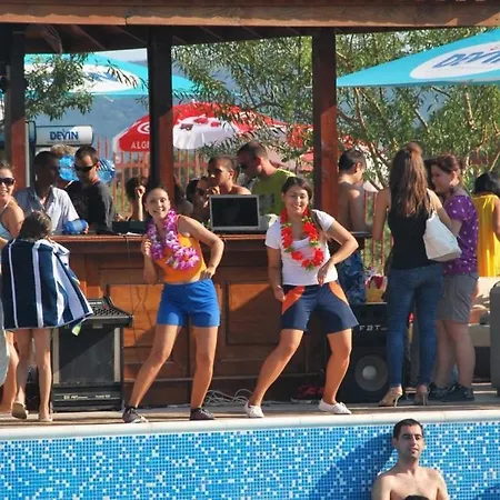 Harmony Hills Tomovi H41 Rogacsevo
